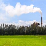 Biomass Power Plants: Transforming Waste into Clean, Sustainable Energy