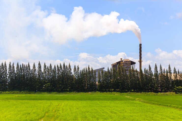 Biomass Power Plants: Transforming Waste into Clean, Sustainable Energy